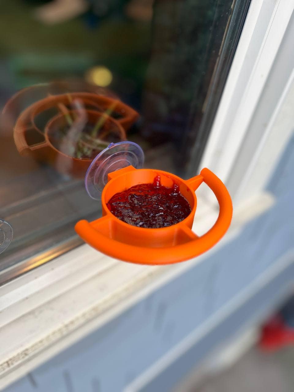 JCSFY window-mounted bird feeder with suction cup for close-up birdwatching