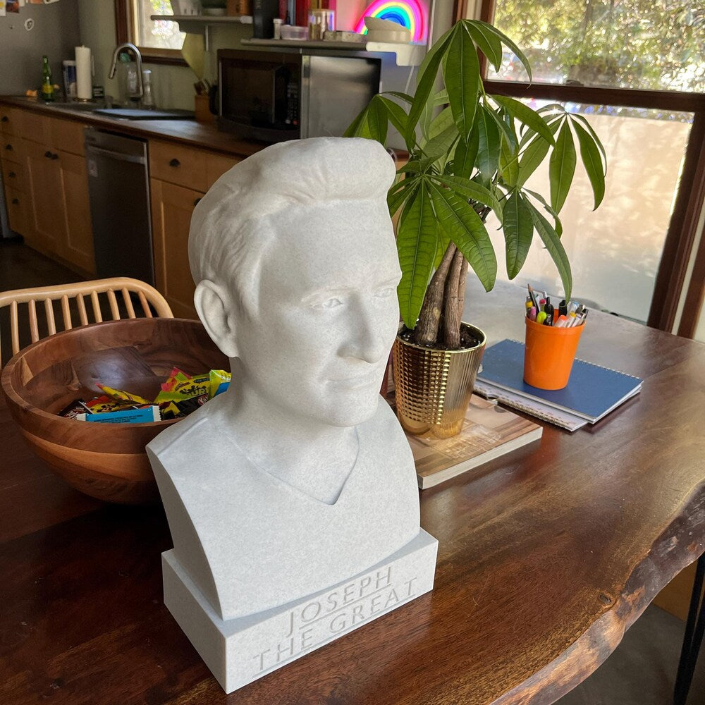 Custom Hand-Sculpted 3D Printed Photo Bust