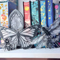 Insect Suncatcher Set