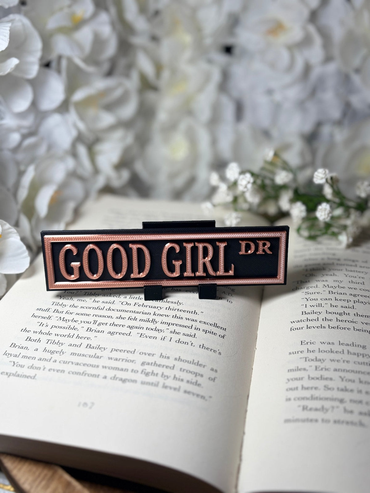 Good Girl Dark Romance 3D Printed Shelf Sign