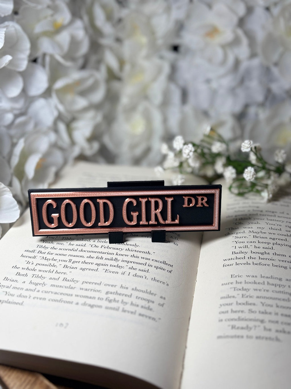 Good Girl Dark Romance 3D Printed Shelf Sign