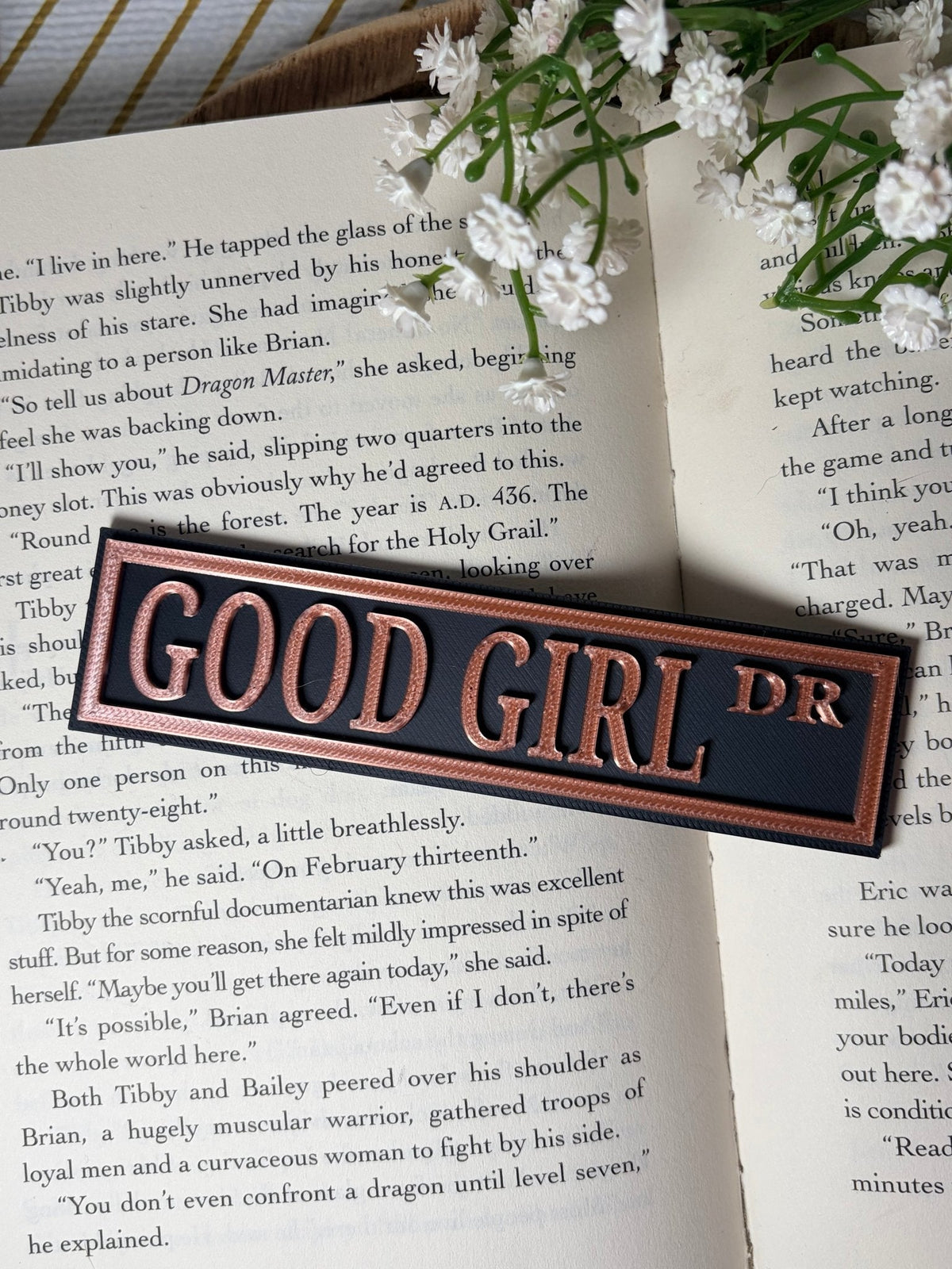 Good Girl Dark Romance 3D Printed Shelf Sign