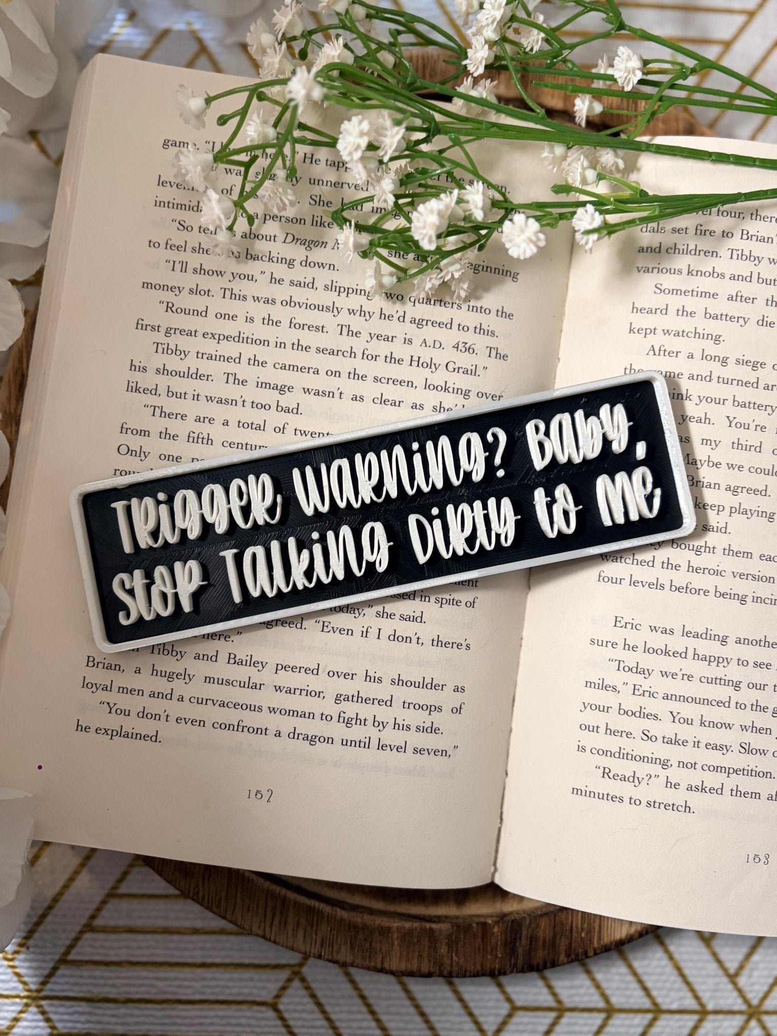 3d Printed Shelf Sign - "Trigger Warning? Baby, Stop Talking Dirty to Me"