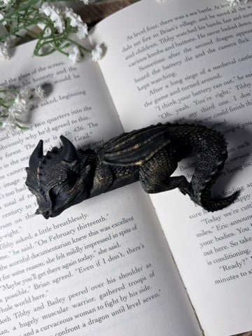 Sleeping Dragon Bookshelf Decor