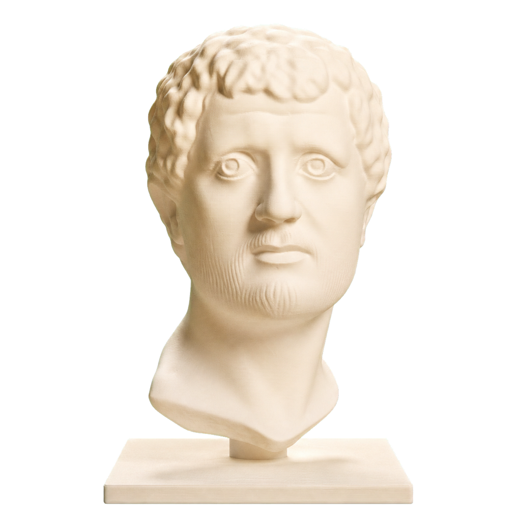 Portrait Head of a Man 3D Printed Museum Replica
