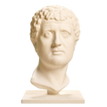 Portrait Head of a Man 3D Printed Museum Replica