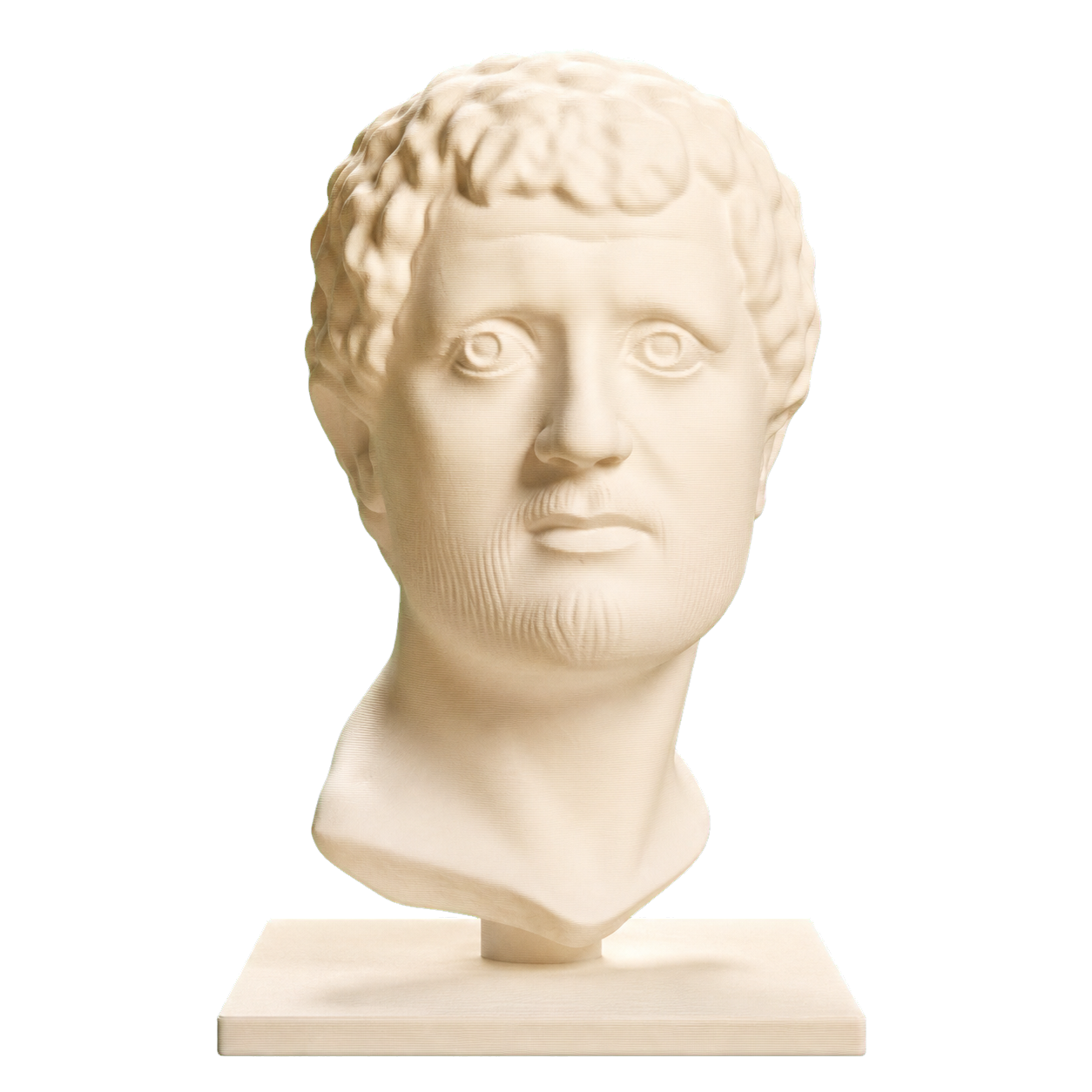 Portrait Head of a Man 3D Printed Museum Replica