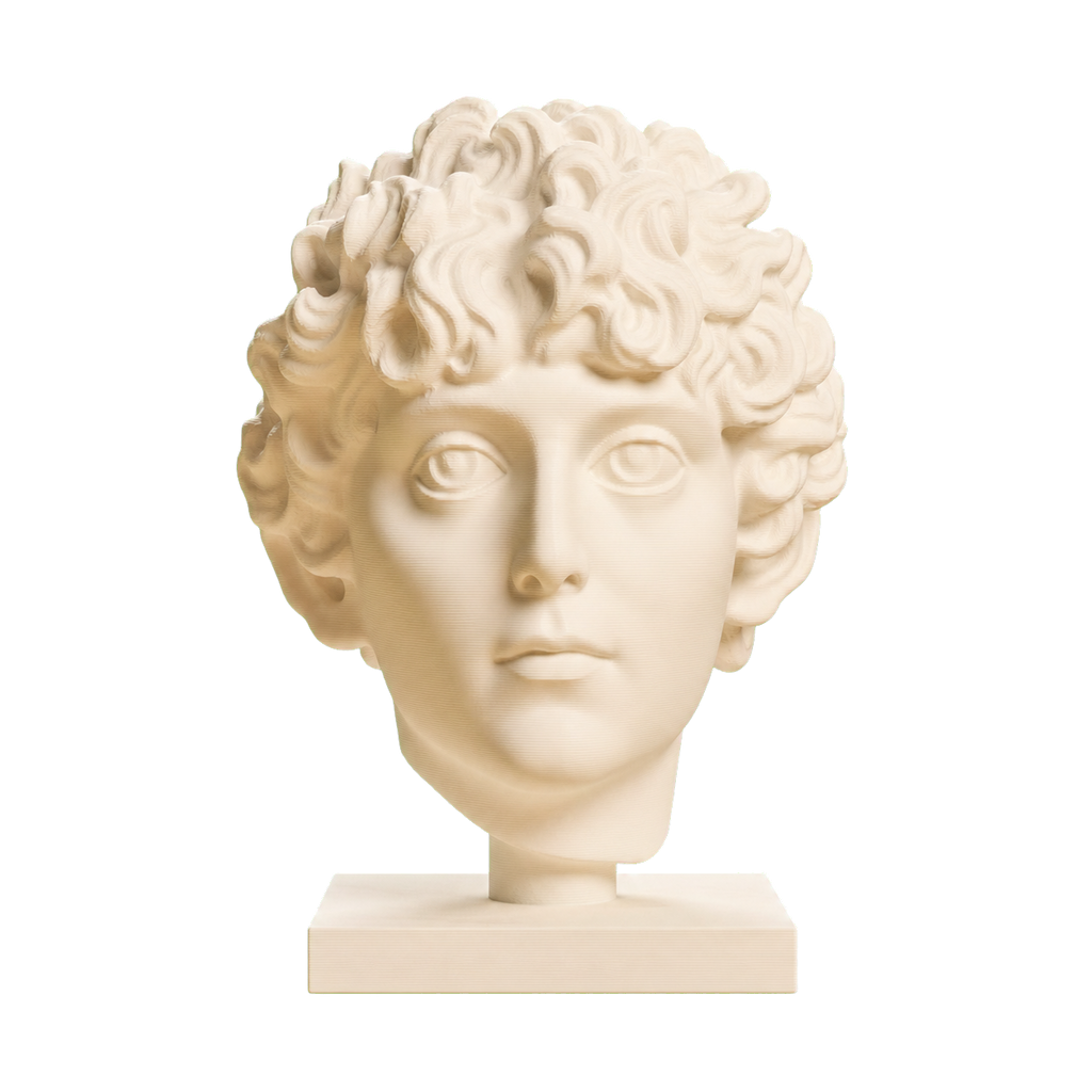 Roman Youth Head 3D Printed Museum Replica