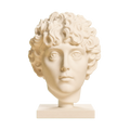 Roman Youth Head 3D Printed Museum Replica