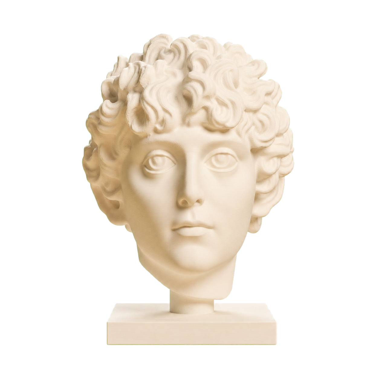 Roman Youth Head 3D Printed Museum Replica
