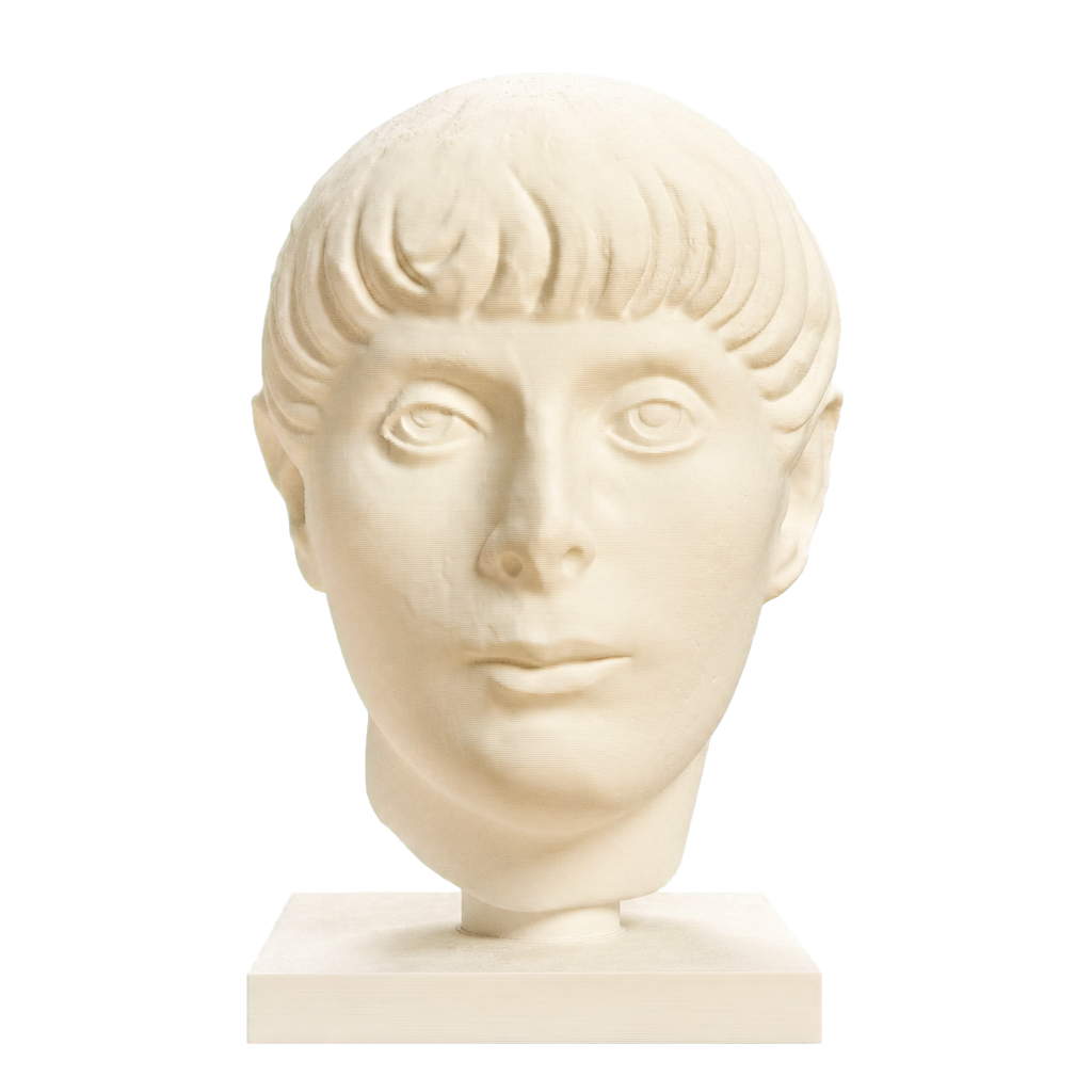 Young Man Head 3D Printed Museum Replica