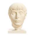 Young Man Head 3D Printed Museum Replica