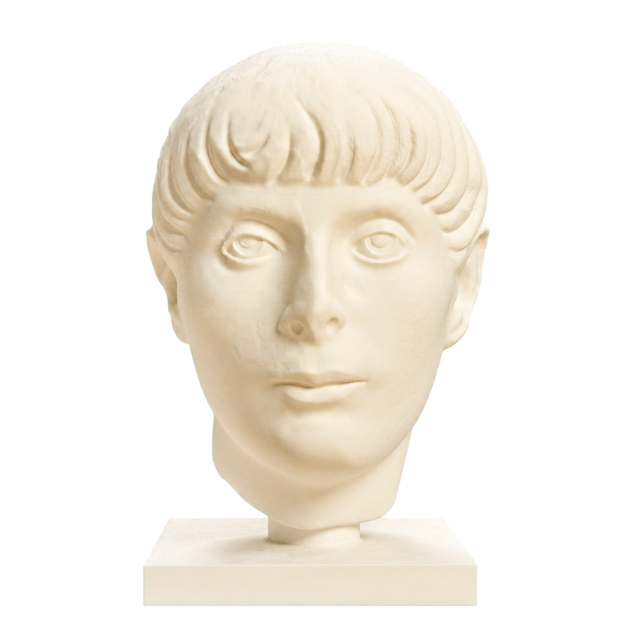 Young Man Head 3D Printed Museum Replica