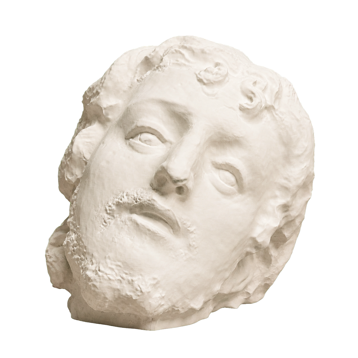 Saint John the Baptist Head 3D Printed Museum Replica
