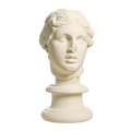 The Beautiful Head 3D Printed Collectible Bust