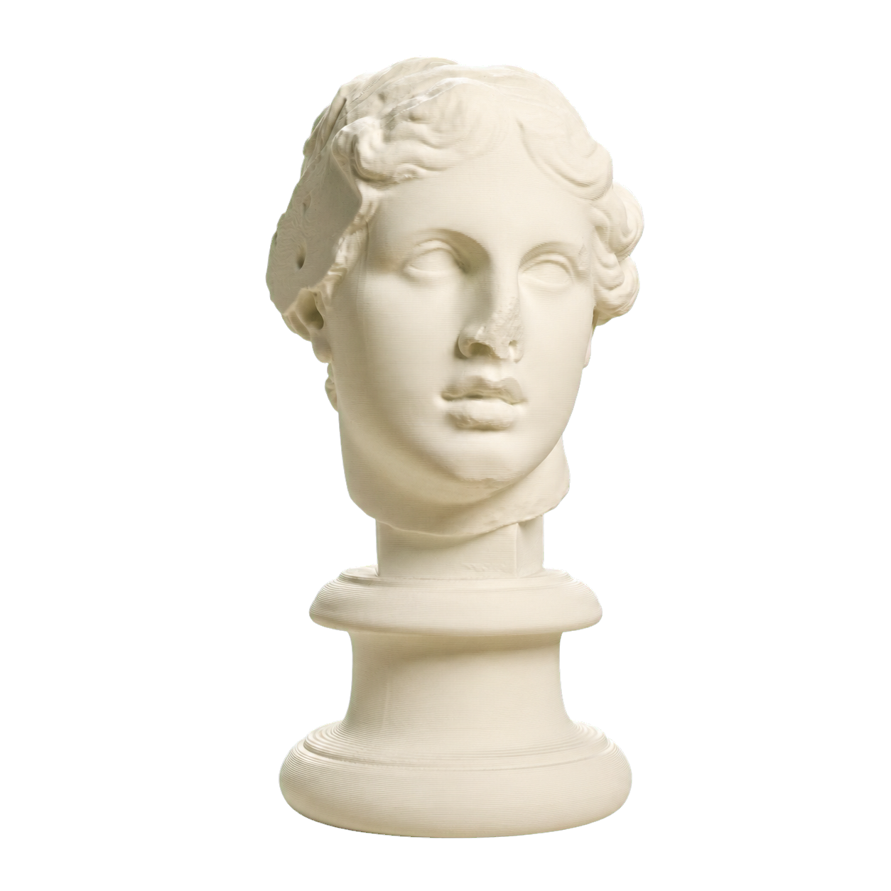 The Beautiful Head 3D Printed Collectible Bust