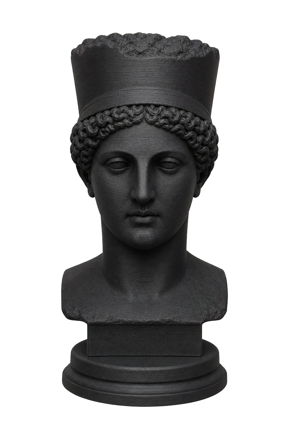 Ancient Portrait Head No. 0196 3D Printed Collectible Bust
