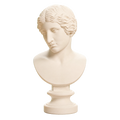 Ancient Portrait Head No. 0269 3D Printed Collectible Bust
