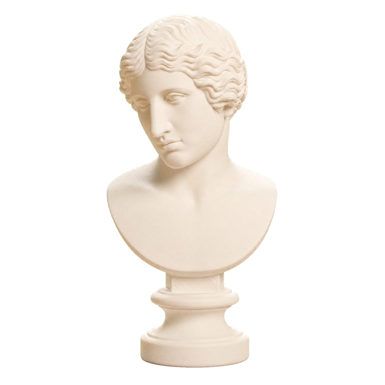 Ancient Portrait Head No. 0269 3D Printed Collectible Bust