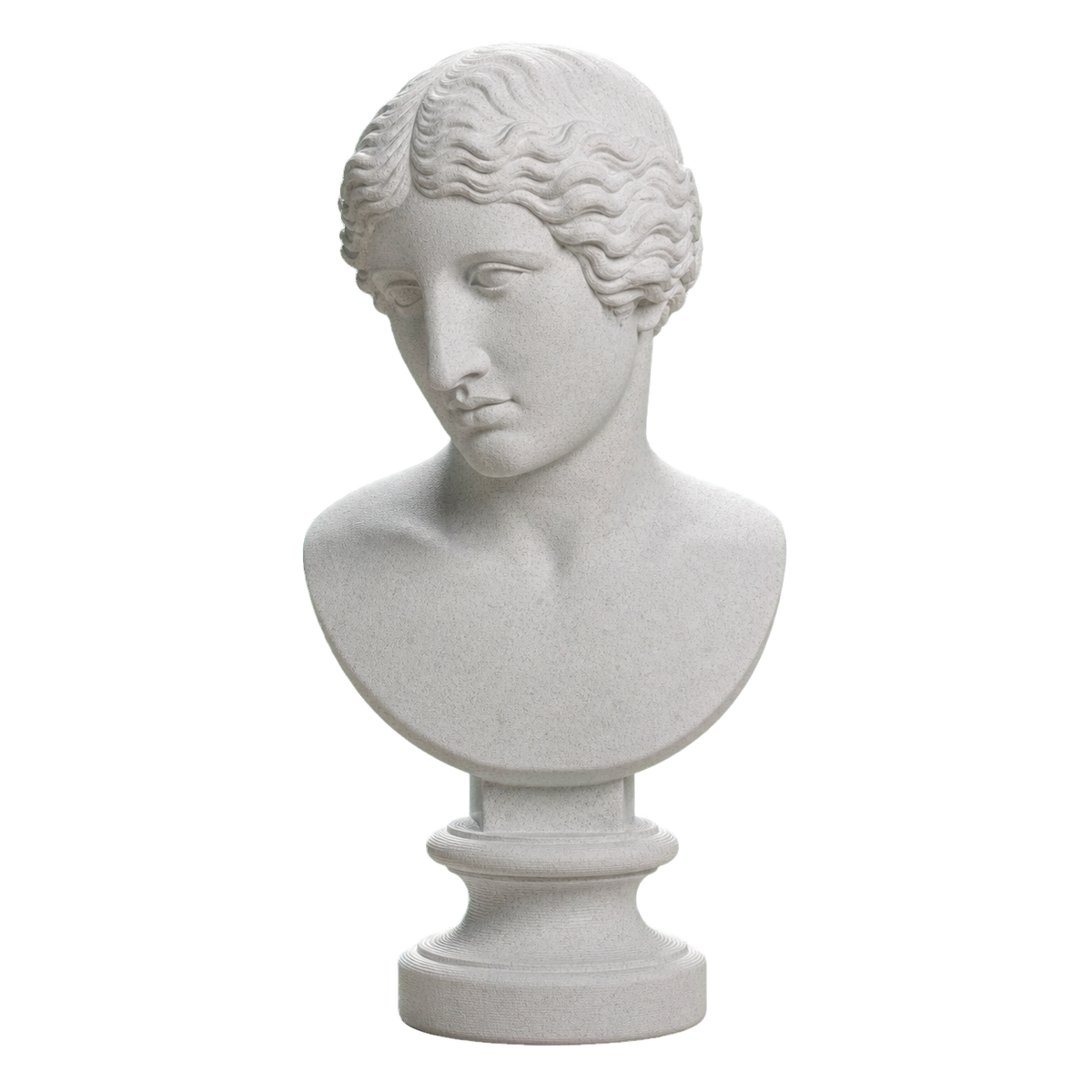 Ancient Portrait Head No. 0269 3D Printed Collectible Bust