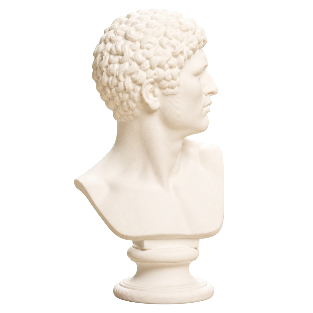 Head of a Man 3D Printed Museum Replica