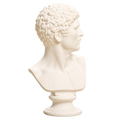 Head of a Man 3D Printed Museum Replica