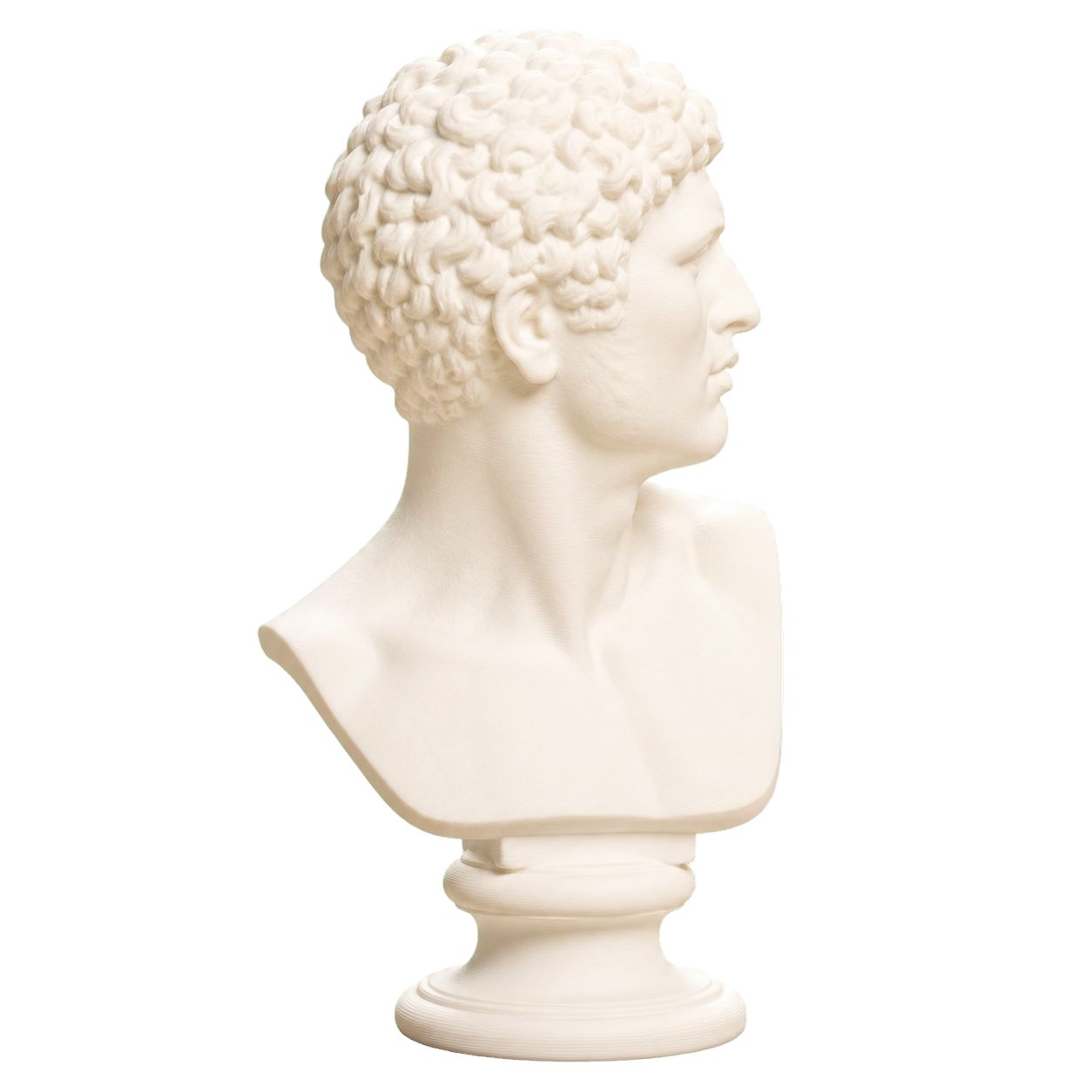 Head of a Man 3D Printed Museum Replica