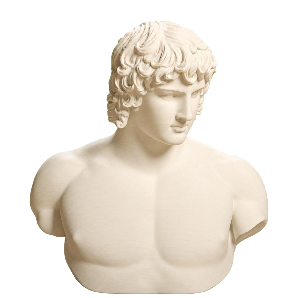 Portrait of Antinous 3D Printed Collectible Bust