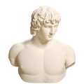 Portrait of Antinous 3D Printed Collectible Bust