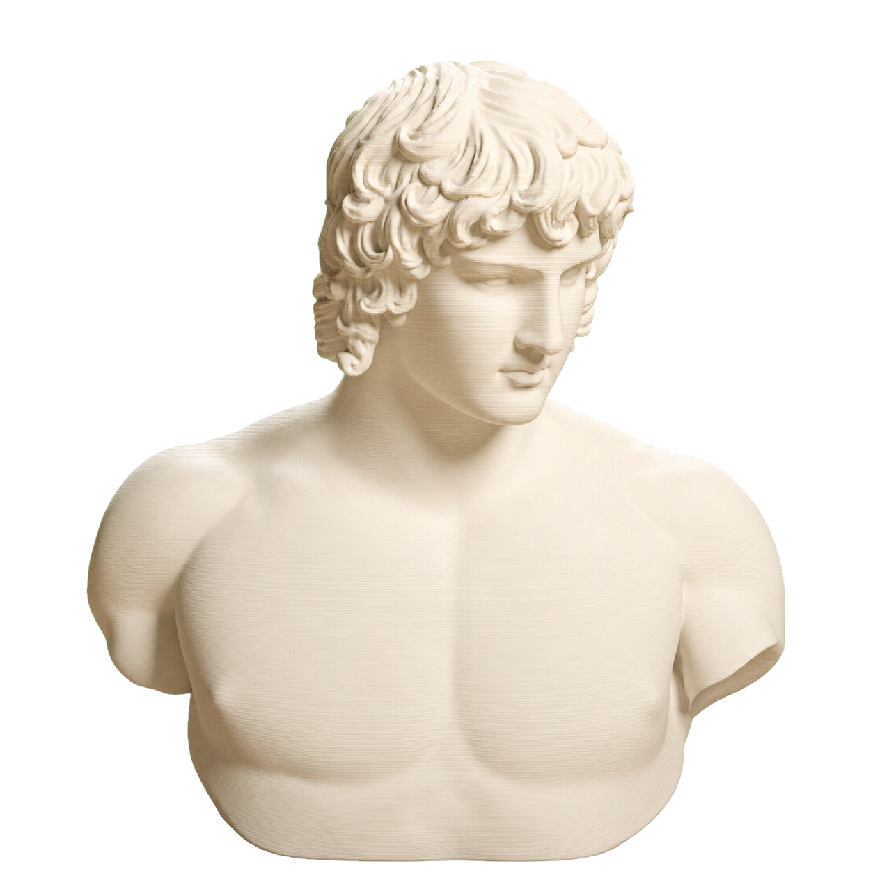 Portrait of Antinous 3D Printed Collectible Bust