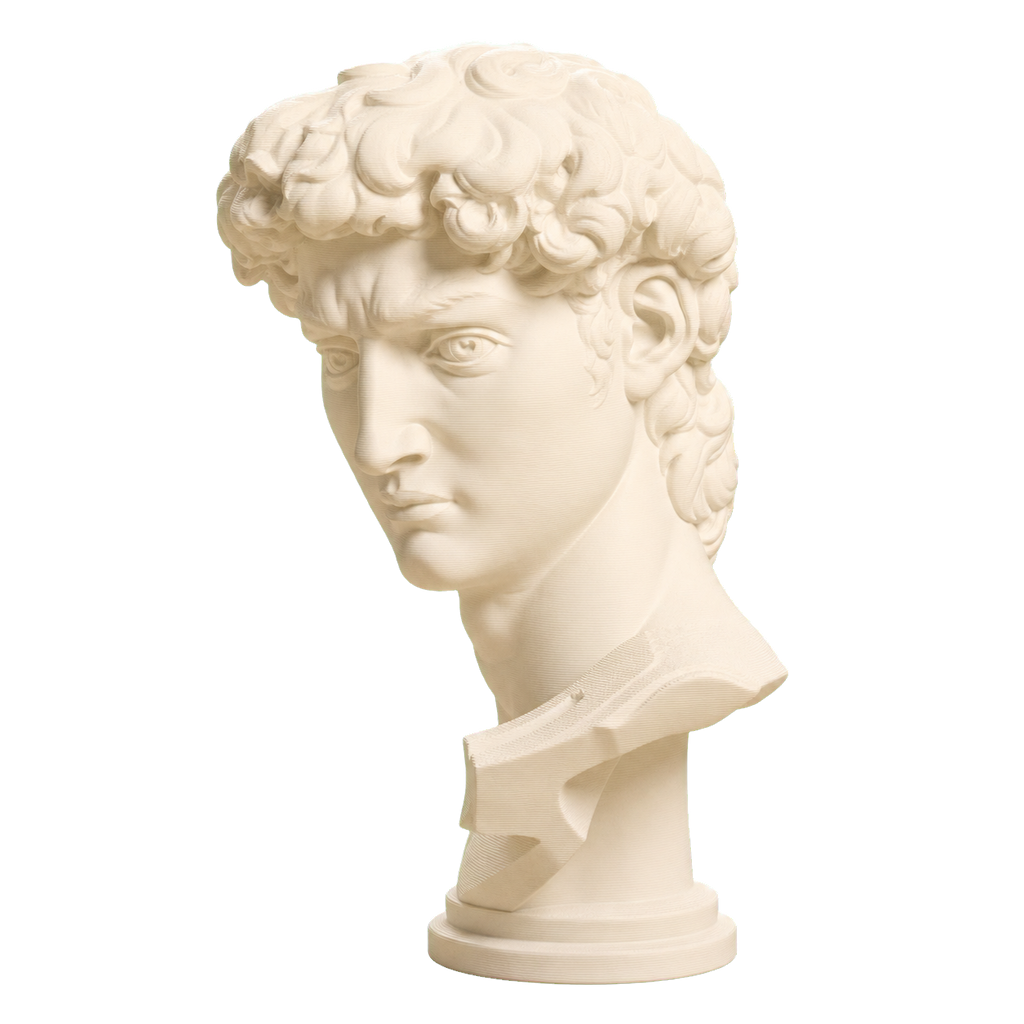 Michelangelo's David Head 3D Printed Museum Replica