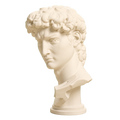 Michelangelo's David Head 3D Printed Museum Replica