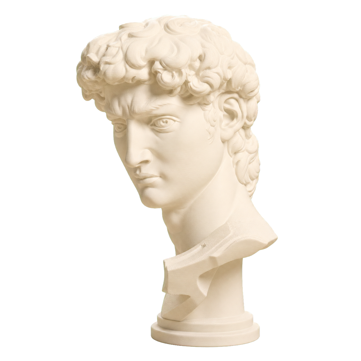 Michelangelo's David Head 3D Printed Museum Replica