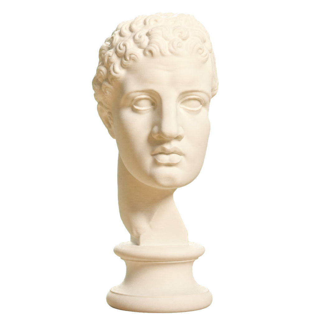 Fragmentary Head of Hercules 3D Printed Collectible Bust