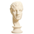 Fragmentary Head of Hercules 3D Printed Collectible Bust