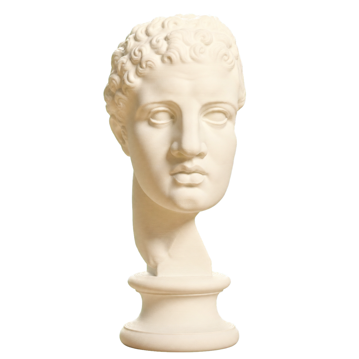 Fragmentary Head of Hercules 3D Printed Collectible Bust