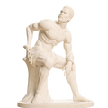 Freedman 3D Printed Museum Replica