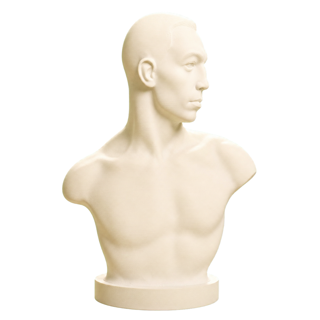 Emil Andreasen, The Boxer 3D Printed Collectible Bust