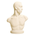 Emil Andreasen, The Boxer 3D Printed Collectible Bust