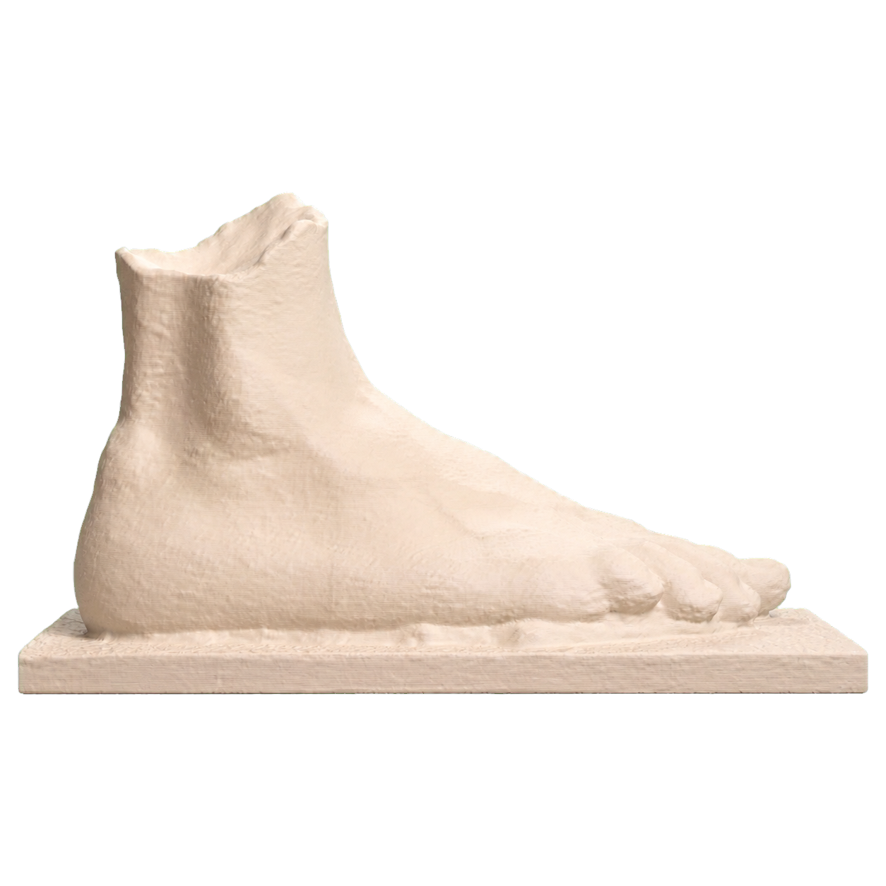 Possible Athlete's Right Foot 3D Printed Museum Replica