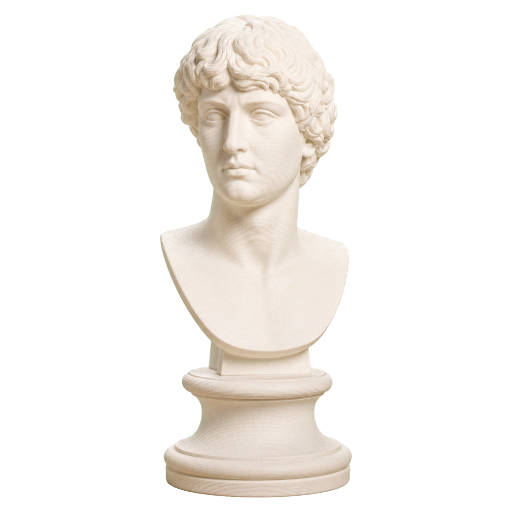 Portrait of a Man 3D Printed Museum Replica