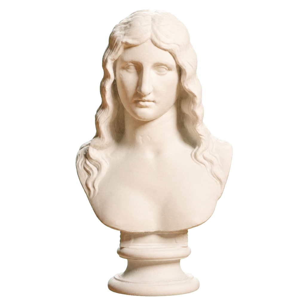 Barbarian Woman 3D Printed Collectible Bust