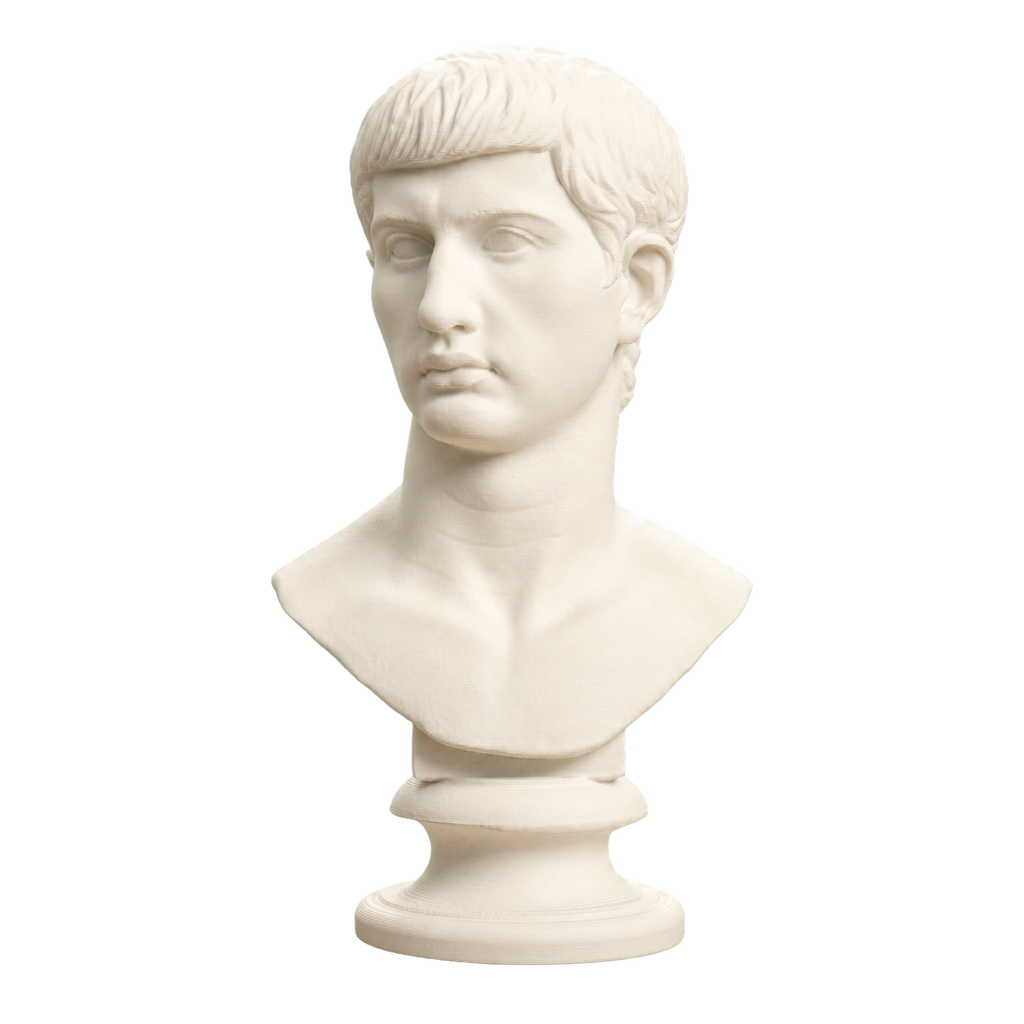 Portrait of an Augustan Prince (Possibly Marcellus) 3D Printed Collectible Bust