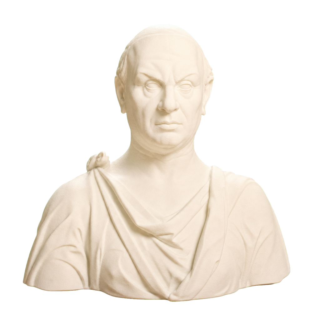 Francesco di Tommaso Sassetti 3D Printed Collectible Bust