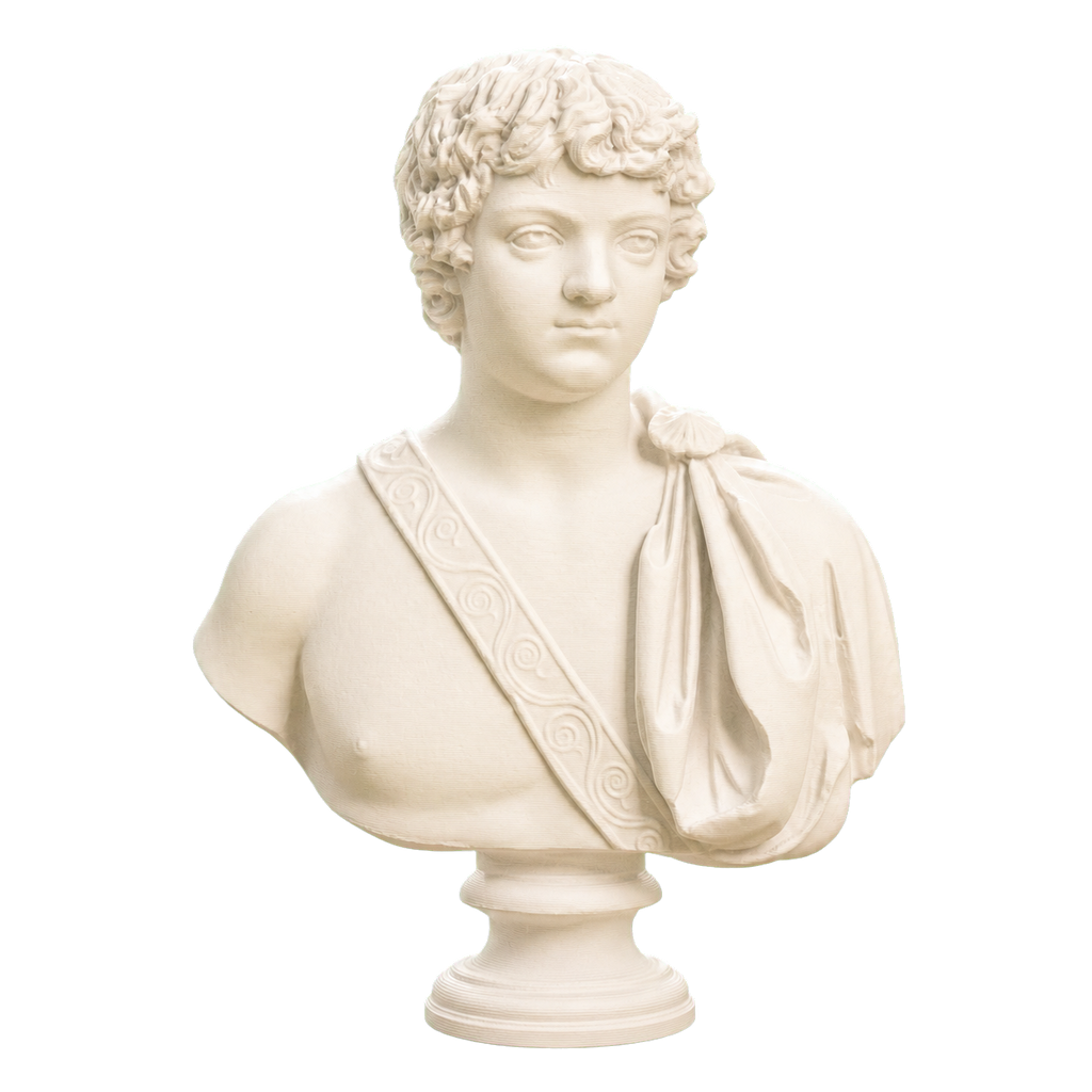 Young Caracalla 3D Printed Collectible Bust