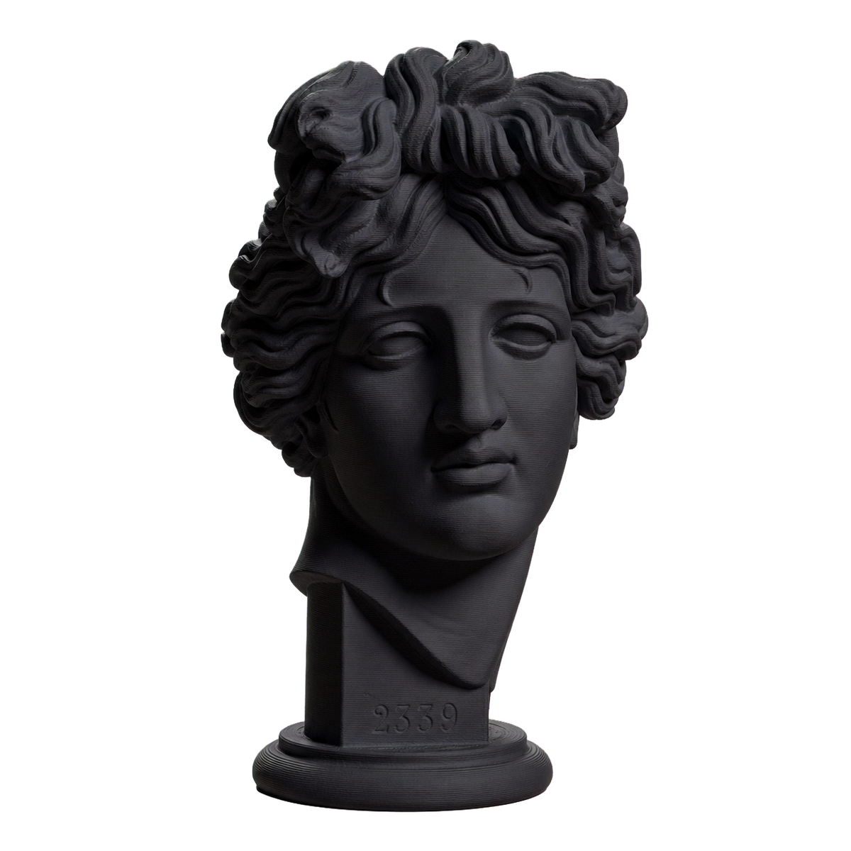 Apollo Giustiniani 3D Printed Collectible Bust