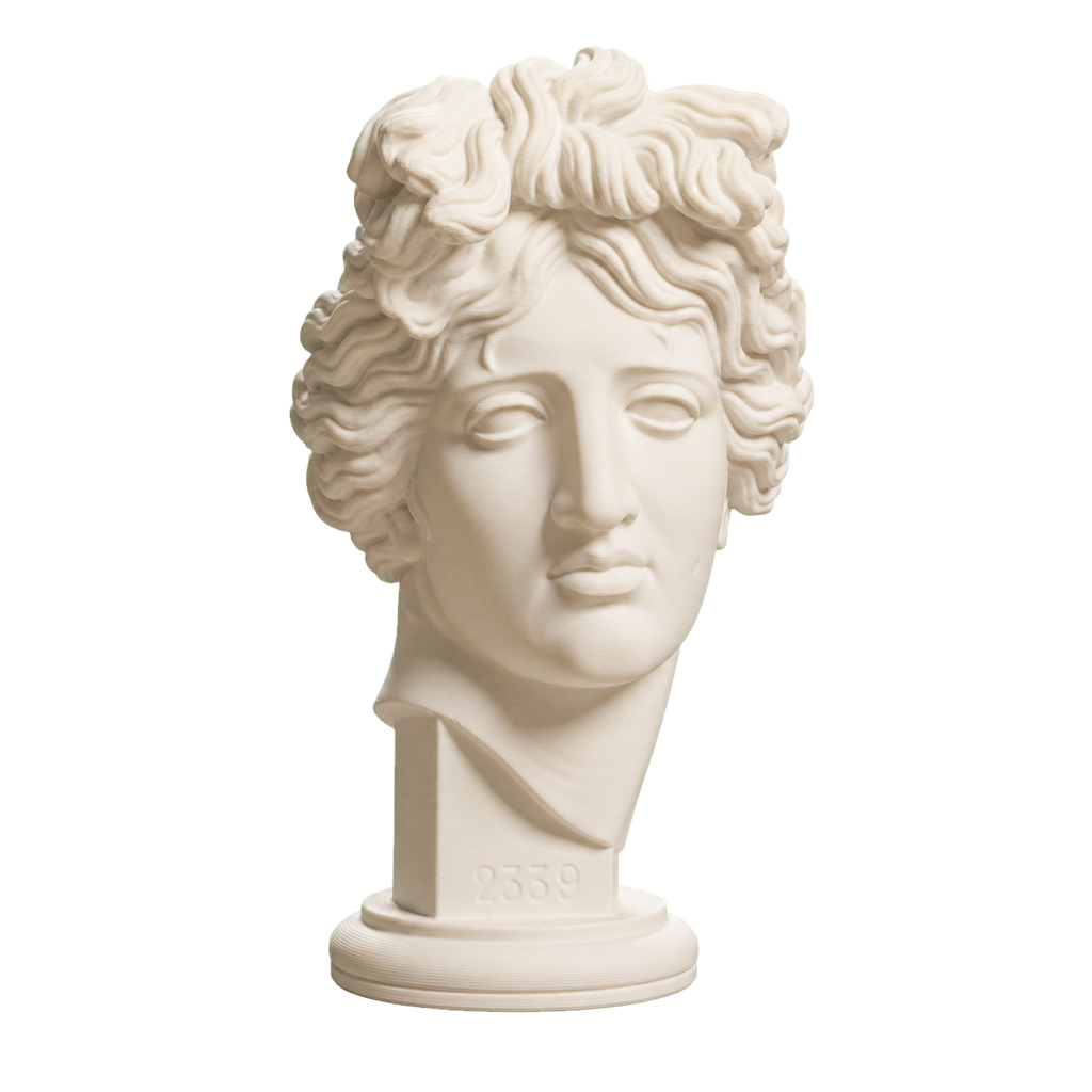 Apollo Giustiniani 3D Printed Collectible Bust