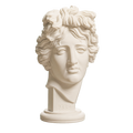 Apollo Giustiniani 3D Printed Collectible Bust