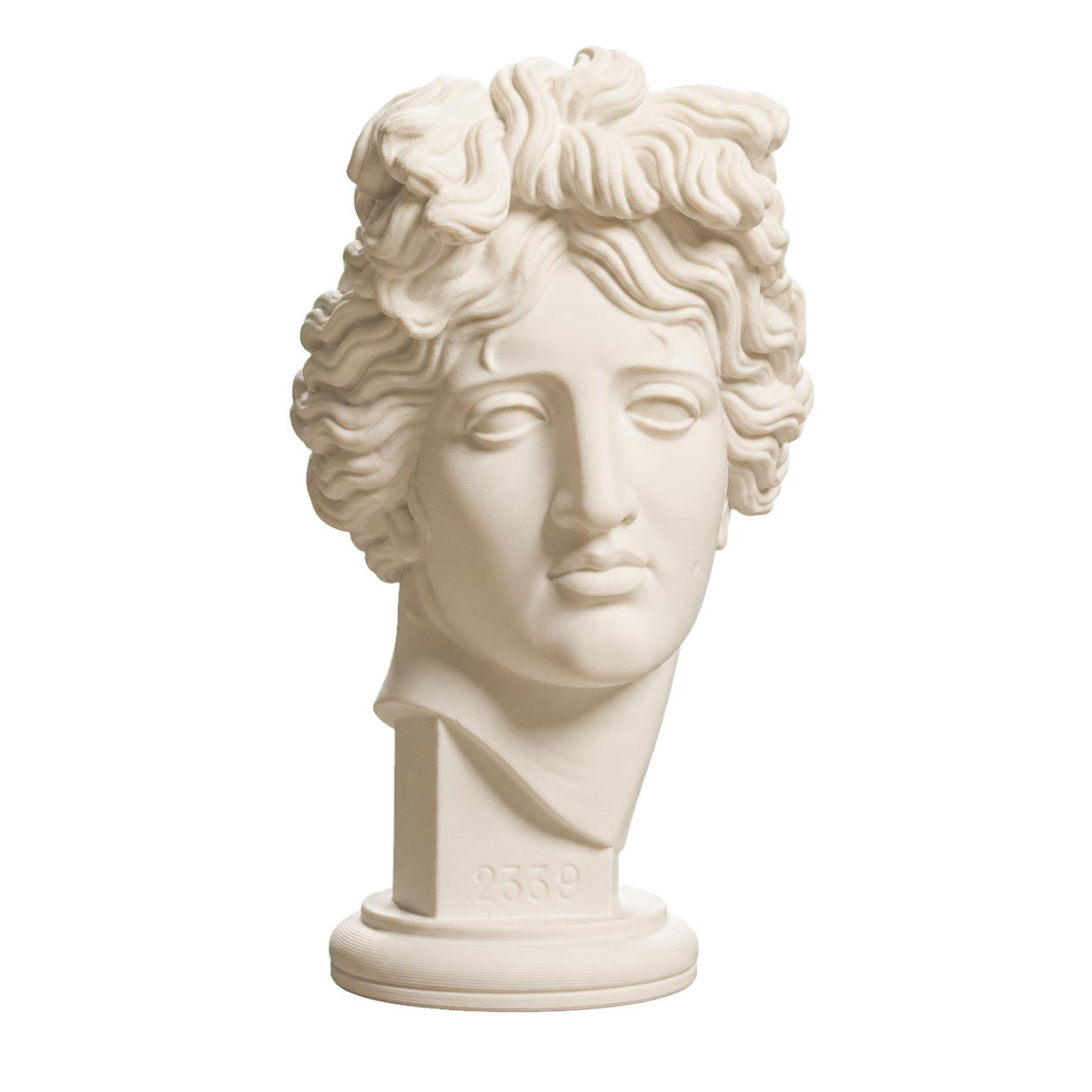 Apollo Giustiniani 3D Printed Collectible Bust