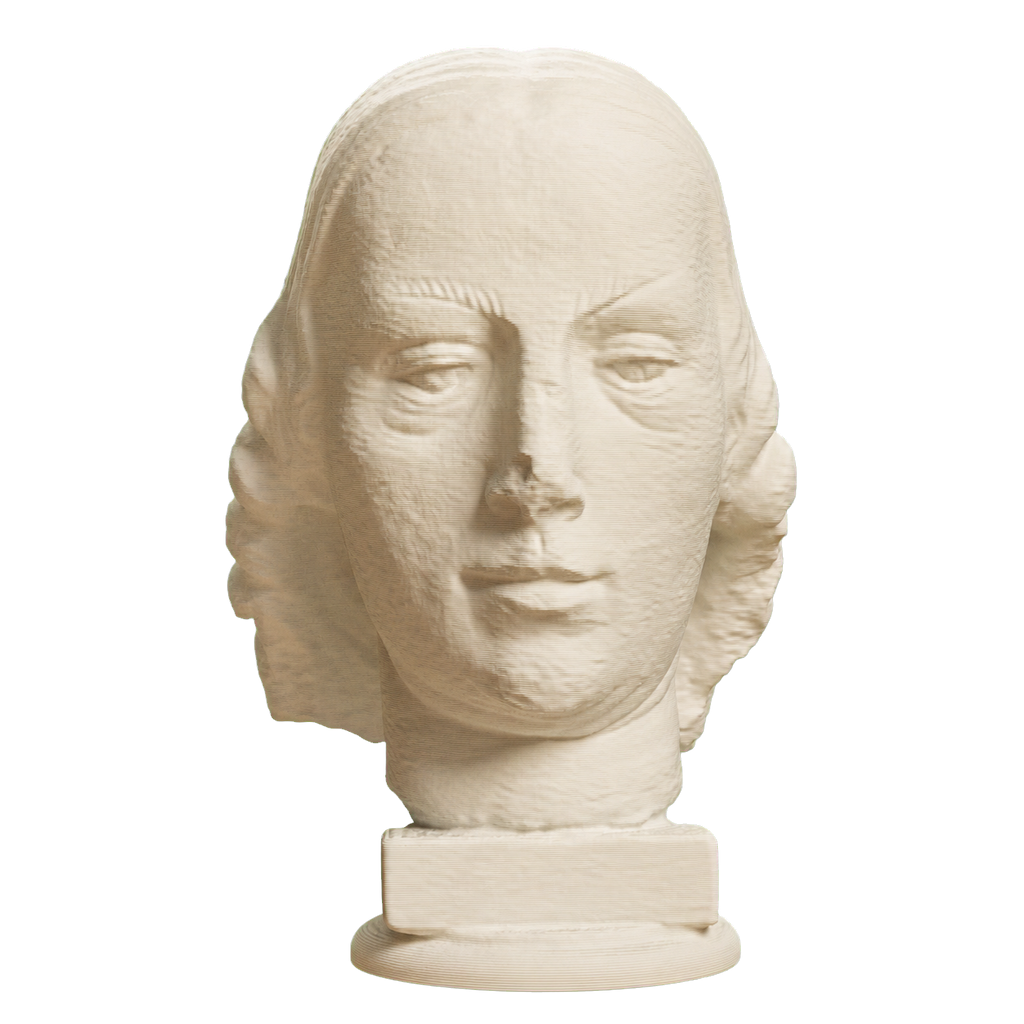 Female Head Statue Fragment 3D Printed Collectible Bust